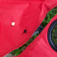 Image for article titled A Spider Broke Into My Car, Got Pregnant and Tried to Turn My Family Into a Jordan Peele Movie